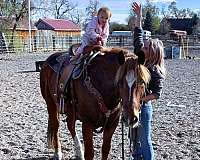 family-mustang-horse