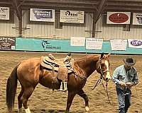 breakaway-roping-filly