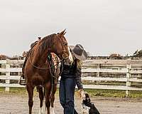 ranch-versatility-quarter-horse