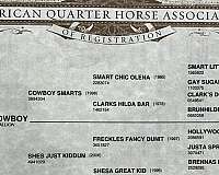 ranch-versatility-quarter-horse