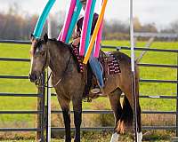 trail-riding-draft-horse