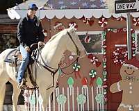 ranch-work-quarter-horse