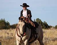 wife-safe-draft-horse