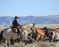 ranch-riding-draft-horse