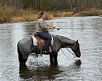 barrel-racing-quarter-horse