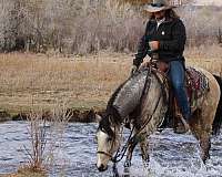 ranch-work-quarter-horse