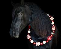 athletic-friesian-horse