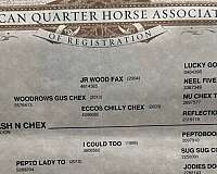 cutting-quarter-horse