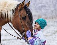 trail-riding-draft-horse