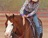 husband-safe-quarter-horse