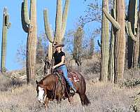 trail-riding-quarter-horse