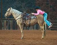 calf-roping-quarter-horse