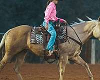 ranch-work-quarter-horse