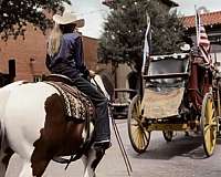 ranch-work-draft-horse