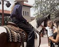 trail-riding-draft-horse