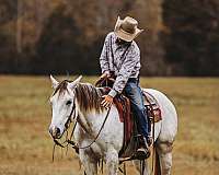 ranch-work-quarter-pony