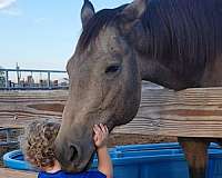 cowboy-mounted-shooting-quarter-pony