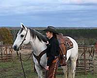 roping-quarter-horse