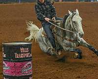 barrel-racing-quarter-pony