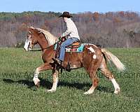 flax-mane-tail-blanket