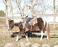 ranch-work-quarter-pony