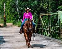 ranch-versatility-quarter-horse