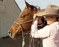 sorrel-cutting-horse