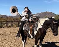 flags-spotted-saddle-horse