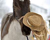 husband-safe-percheron-horse