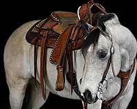 ranch-work-quarter-horse