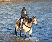 roping-quarter-horse