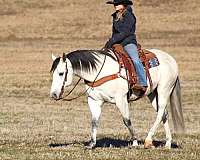 roping-quarter-horse