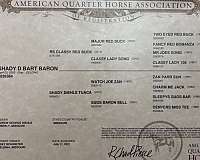 ranch-work-quarter-horse