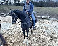 a-white-spot-above-her-tail-horse