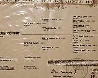 aqha-quarter-horse