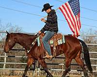 barrel-racing-quarter-horse