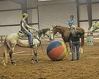 performance-roping