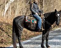 neck-percheron-horse