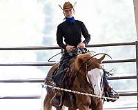 sorrel-overo-horse