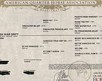 all-around-quarter-horse