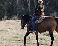 trail-riding-quarter-horse