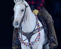 ranch-work-quarter-horse