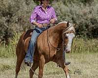 ranch-work-quarter-horse