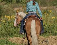 roping-quarter-horse