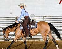 calf-roping-quarter-horse