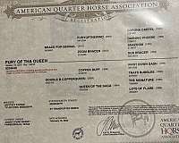 athletic-quarter-horse