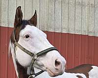 medicine-hat-coloring-red-white-paint