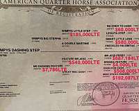 barrel-racing-quarter-horse