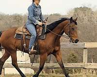 ranch-versatility-quarter-horse