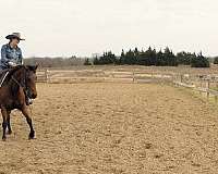 reining-quarter-horse